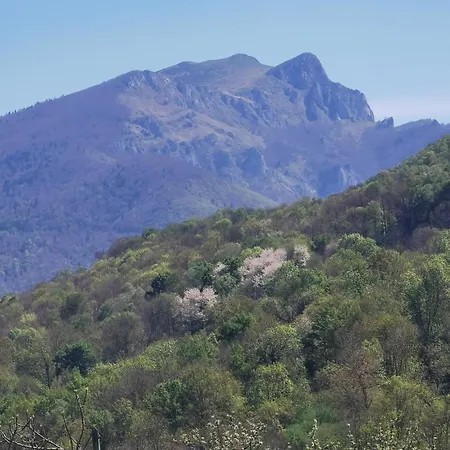 Gîte de montagne dans la vallée de Barousse *