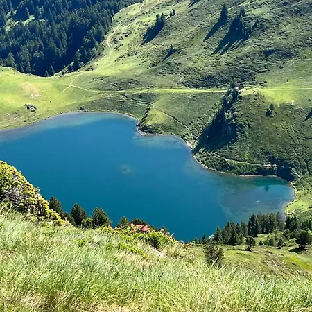 Gîte de montagne dans la vallée de Barousse *